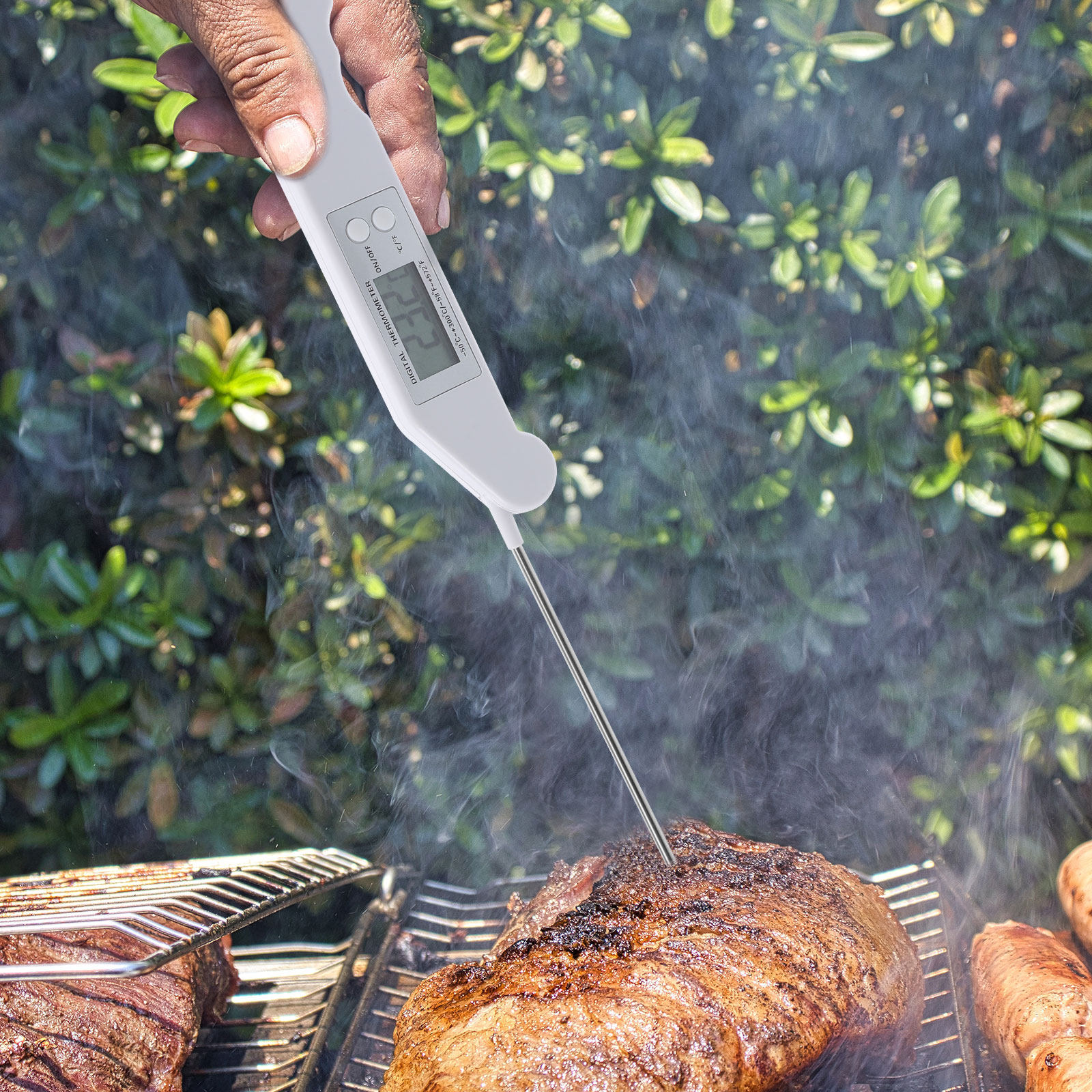 Folding Electronic Thermometer - Meat Thermometer ulasan dan harga