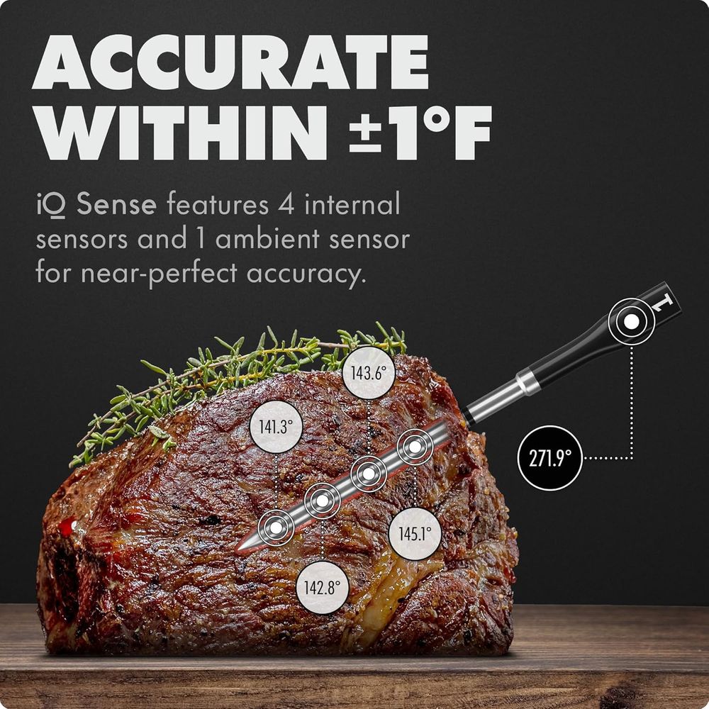 Ultra-Thin Wireless Meat Therm - Meat Thermometer ulasan dan harga