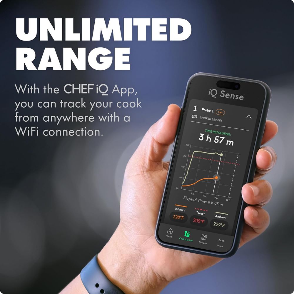 Ultra-Thin Wireless Meat Therm - Meat Thermometer ulasan dan harga