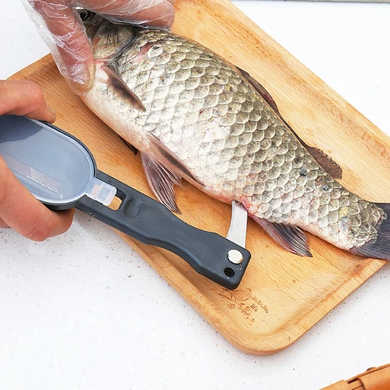 2 In1 Fishing Scale Brush Knif - Kitchen Gadgets Built In ulasan dan harga