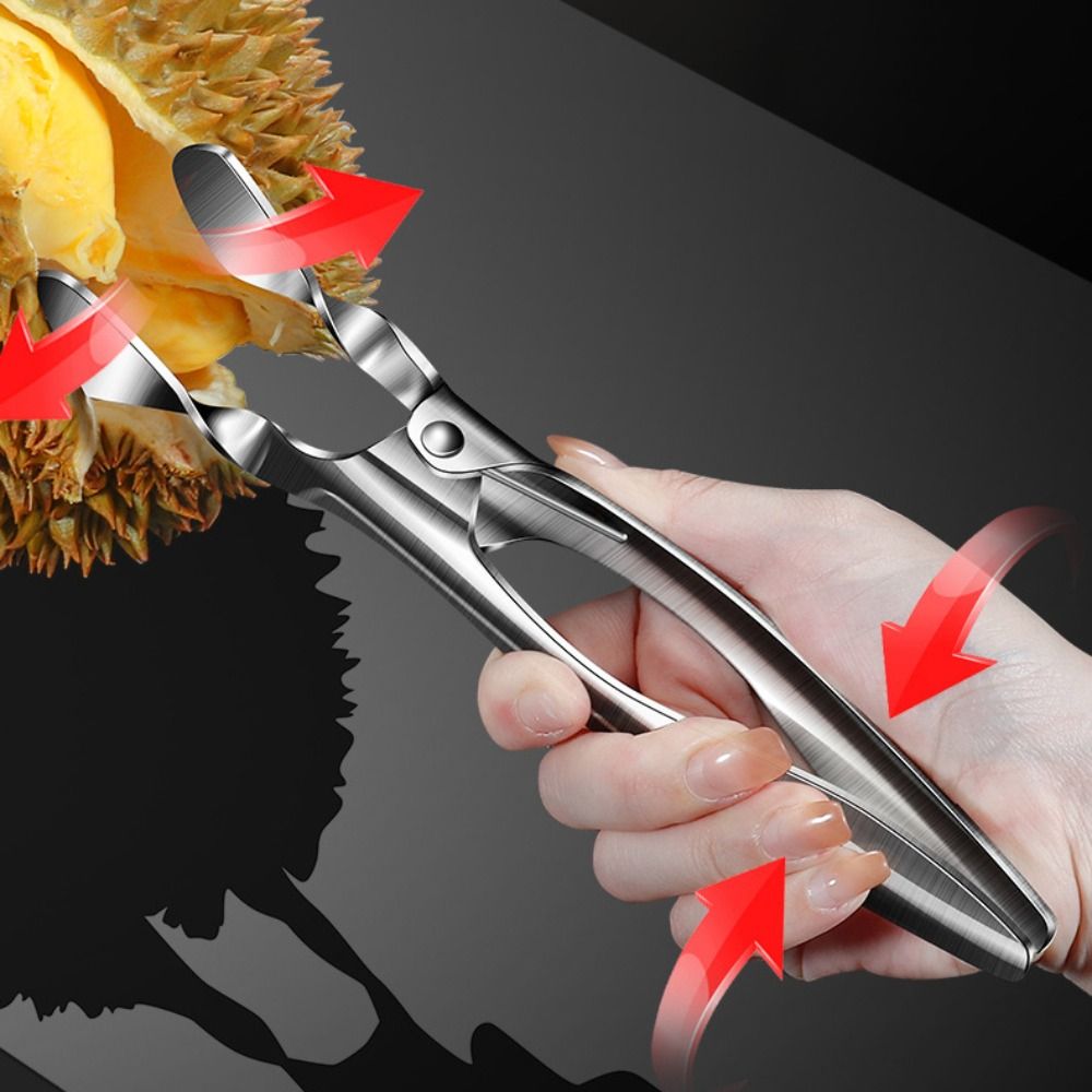 304 Stainless Steel Durian She - Kitchen Gadgets Built In ulasan dan harga