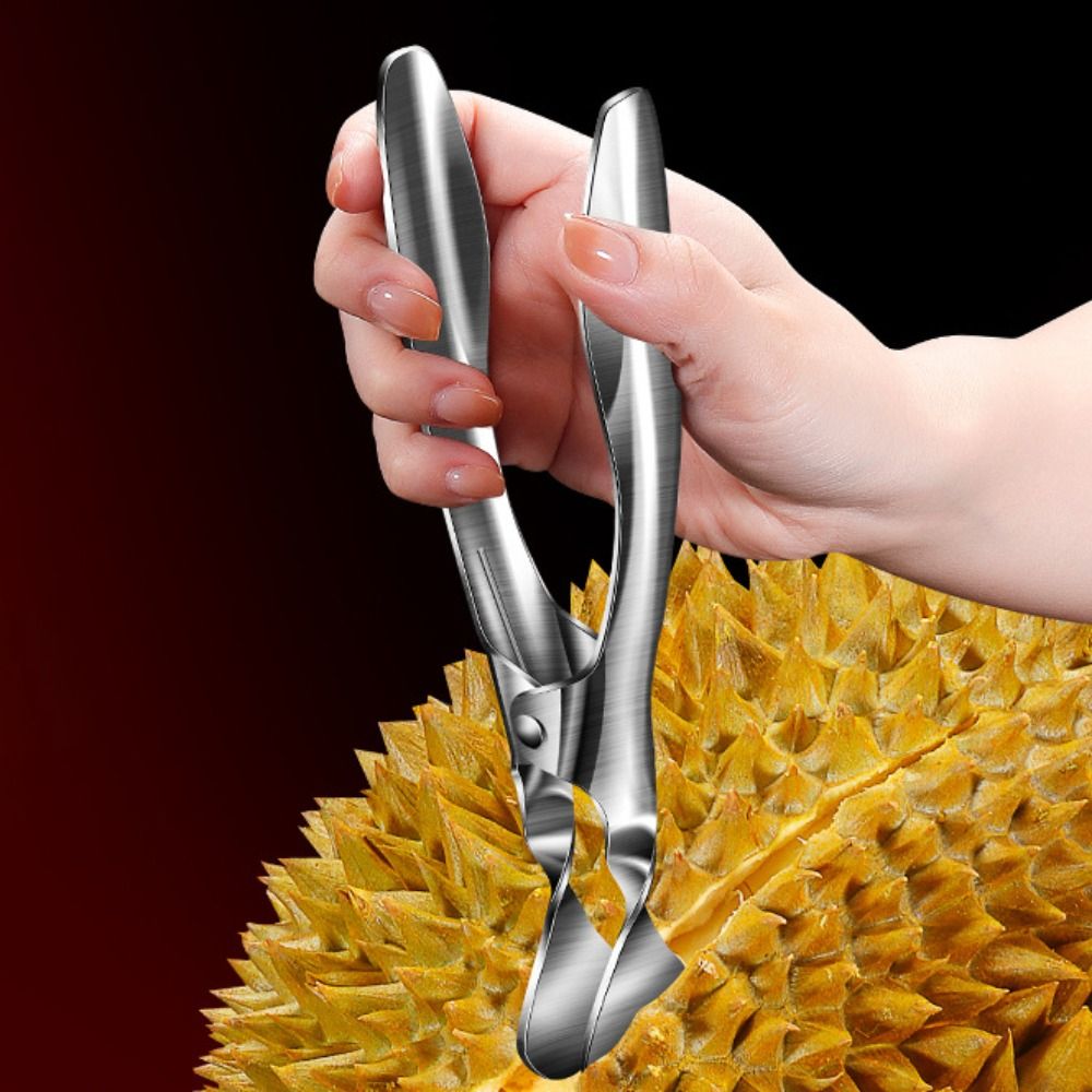 304 Stainless Steel Durian She - Kitchen Gadgets Built In ulasan dan harga