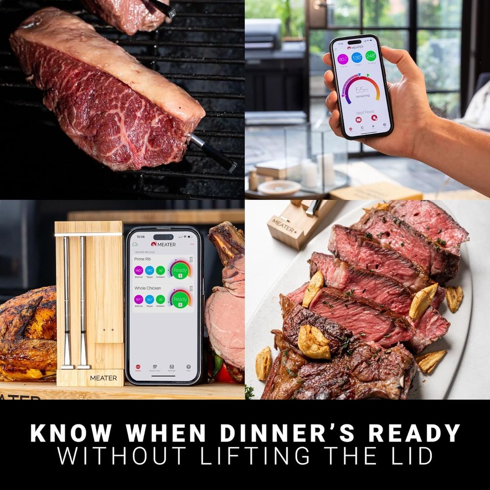 Wireless Dual Probe Meat Therm - Meat Thermometer ulasan dan harga