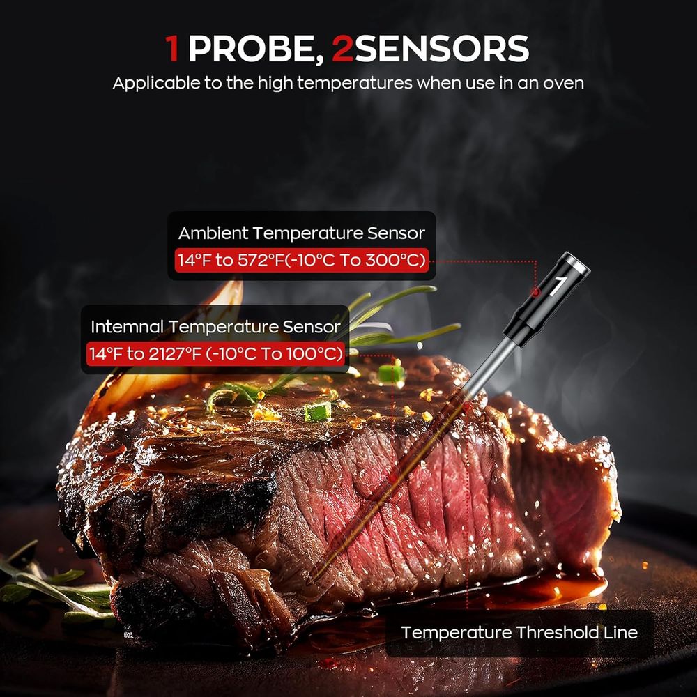 Dual Probe Wireless Meat Therm - Meat Thermometer ulasan dan harga