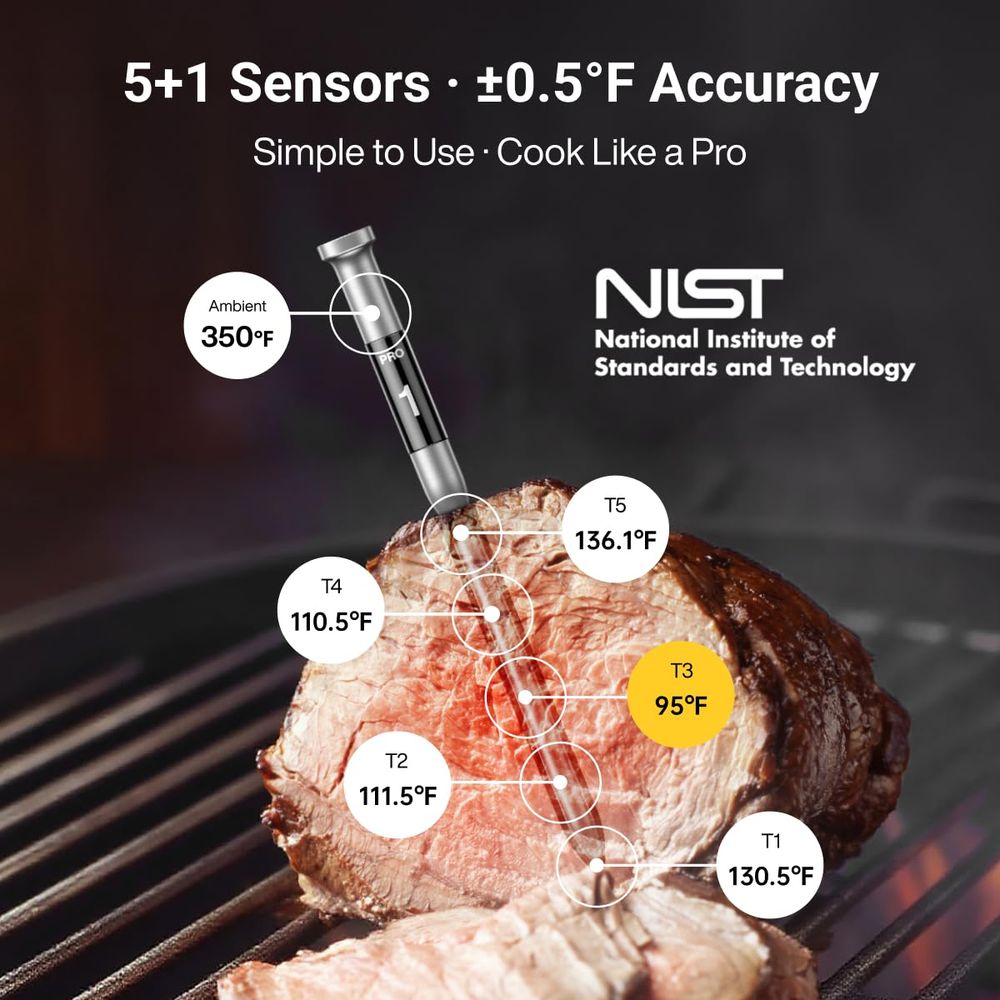 Long Range Wireless Meat Therm - Meat Thermometer ulasan dan harga